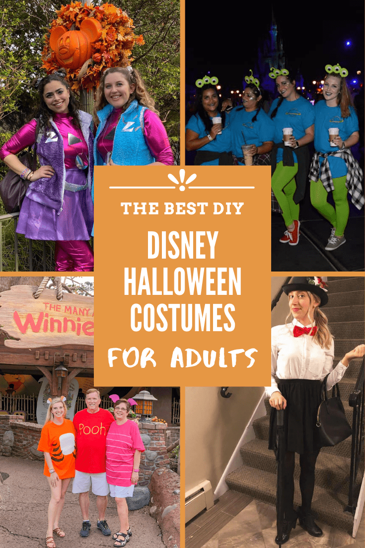 15 Easy Diy Disney Halloween Costume Ideas For Adults Wanderlust With Lisa 