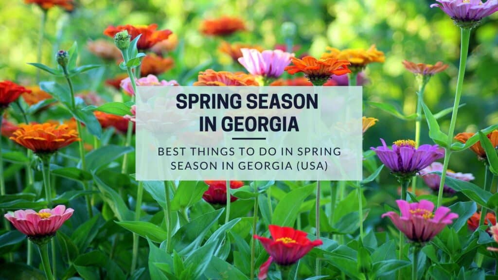 10 Amazing Things To Do In Georgia In The Spring | Wanderlust With Lisa