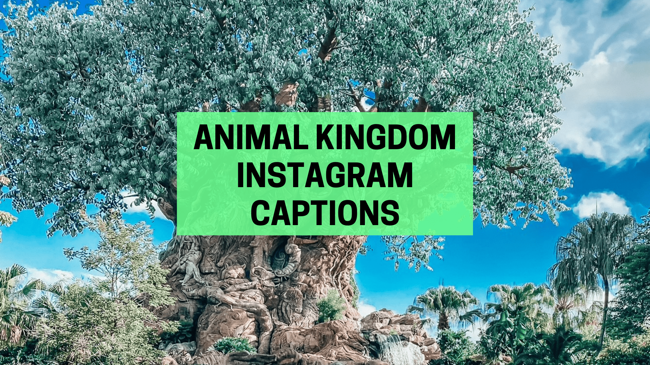 30 Fun Animal Kingdom Instagram Captions for your Trip to Disney |  Wanderlust With Lisa