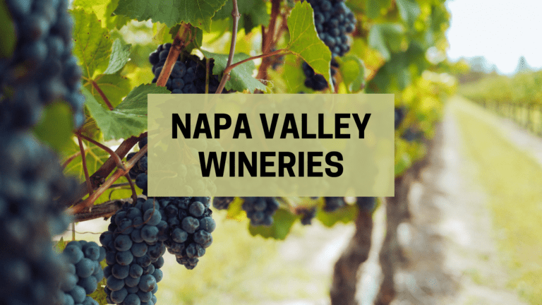 My Favorite Napa Valley Wineries (with Honest Reviews)