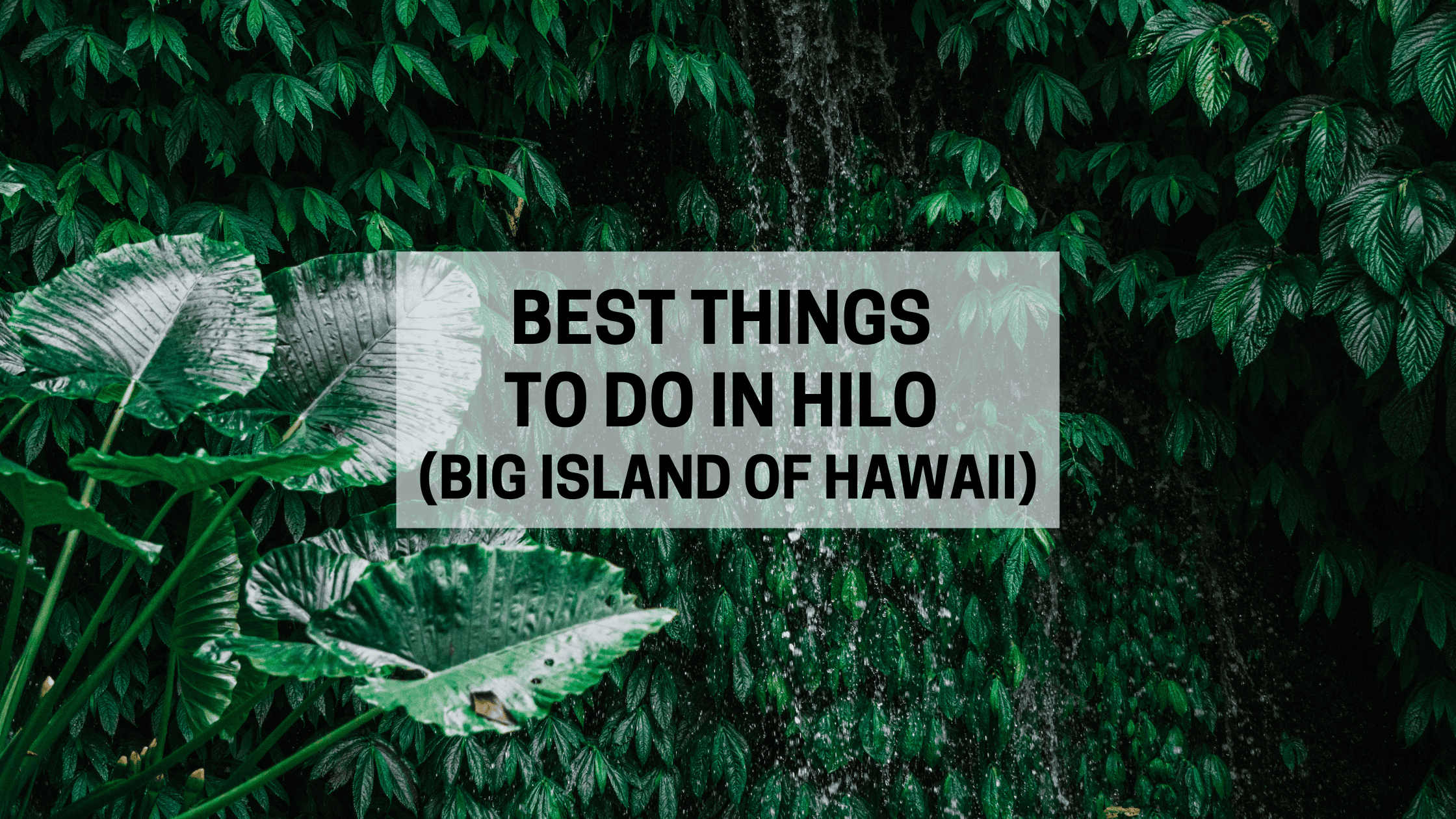 16 Awesome Things to do in Hilo on the Big Island of Hawaii