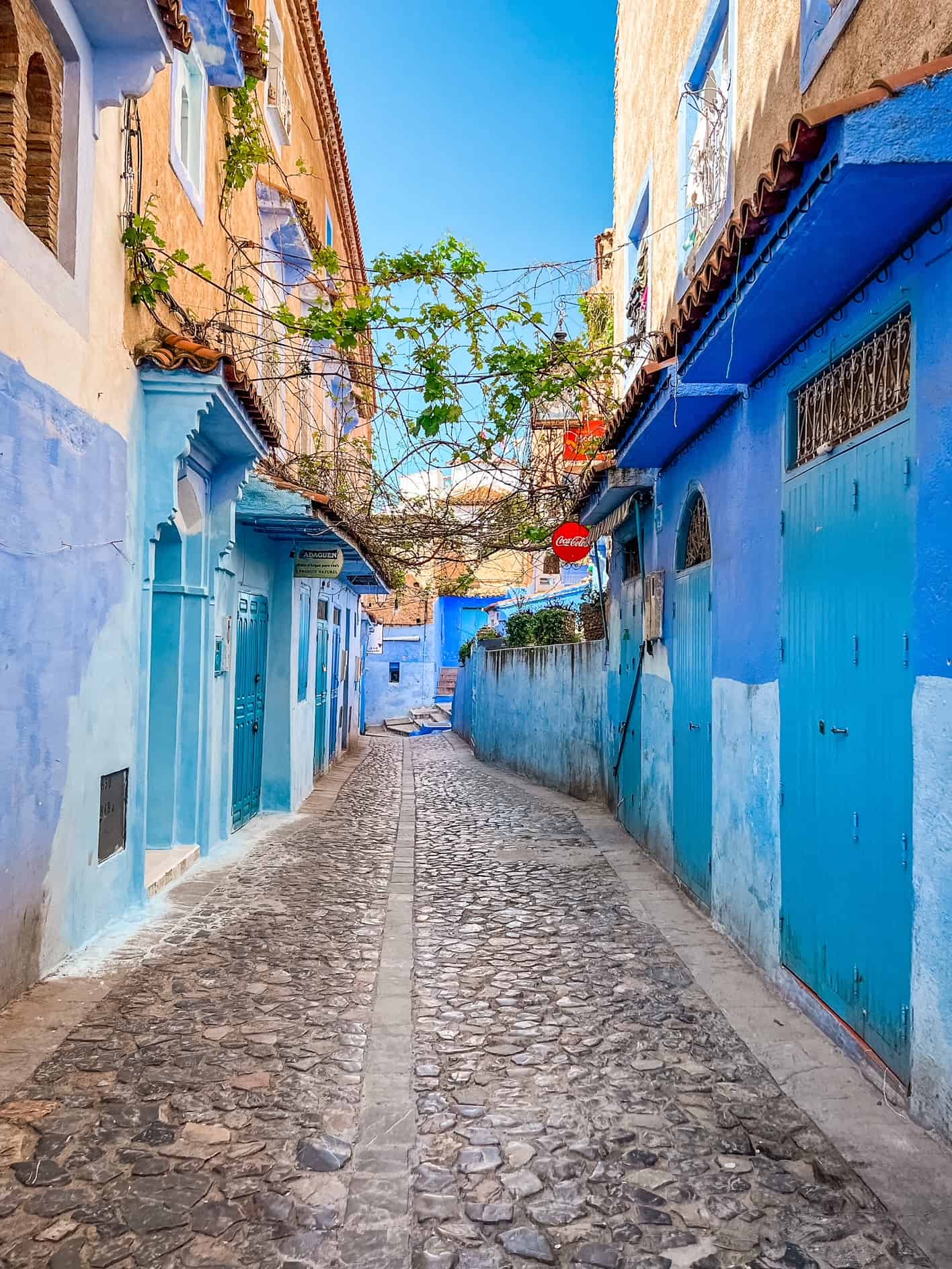 Top 15 Unique Things To Do in Chefchaouen, Morocco | Wanderlust With Lisa